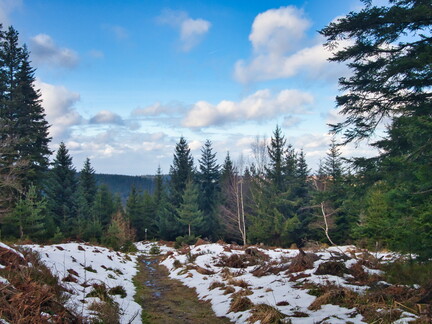 20220205202127-9e47e25d